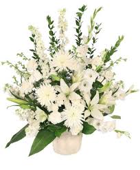 Pittman Moore, Death, Obituary Little Rock Arkansas: Obstetrician-Gynecologist Died After Quad Bike Accident